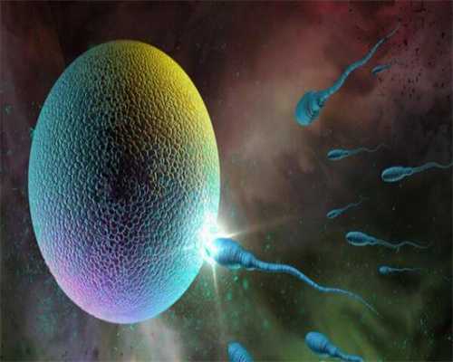 2024年杭州逸夫医院可以做供卵试管吗？