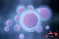温州哪个医院提供卵子,浙江温州有哪些可以申请供卵做试管婴儿的医院？